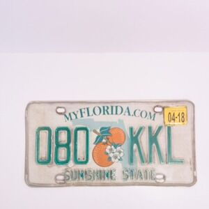 Florida Sunshine State Orange Blossom License Plate MyFlorida.com